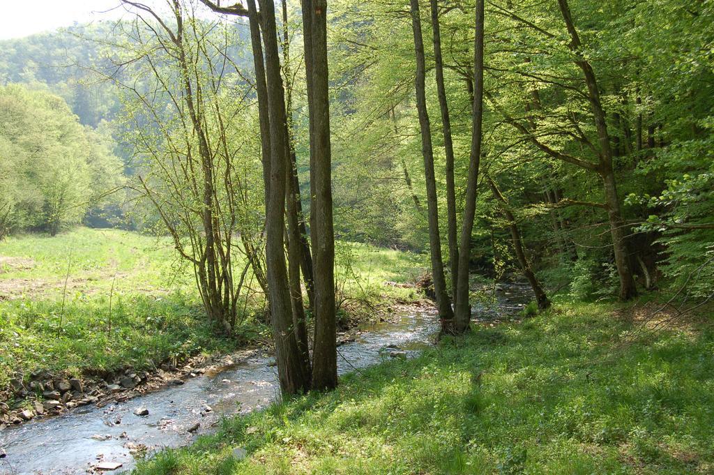 Landgasthaus Pfahl Wershofen Екстер'єр фото